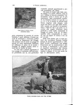 giornale/UM10003065/1930/unico/00000348