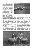 giornale/UM10003065/1930/unico/00000349