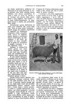 giornale/UM10003065/1930/unico/00000351