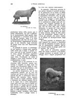 giornale/UM10003065/1930/unico/00000358