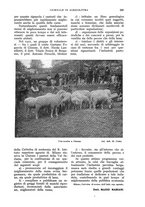 giornale/UM10003065/1930/unico/00000361