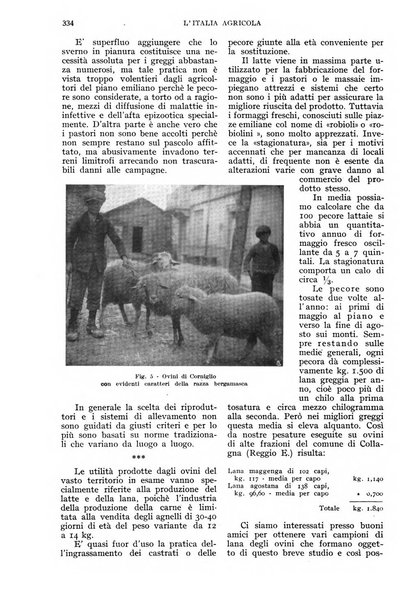 L'Italia agricola