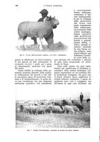 giornale/UM10003065/1930/unico/00000368