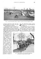 giornale/UM10003065/1930/unico/00000371