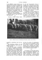 giornale/UM10003065/1930/unico/00000372