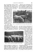 giornale/UM10003065/1930/unico/00000373