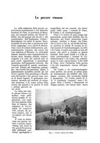 giornale/UM10003065/1930/unico/00000375