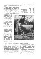 giornale/UM10003065/1930/unico/00000385