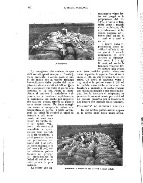 L'Italia agricola