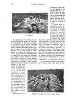 giornale/UM10003065/1930/unico/00000408