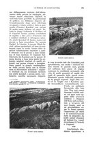 giornale/UM10003065/1930/unico/00000409