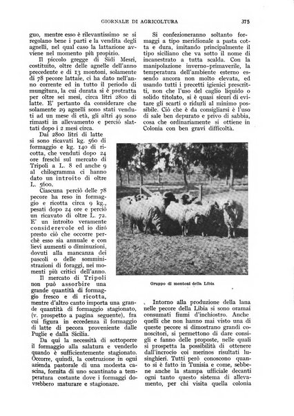 L'Italia agricola