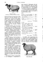 giornale/UM10003065/1930/unico/00000416