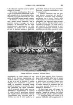 giornale/UM10003065/1930/unico/00000417