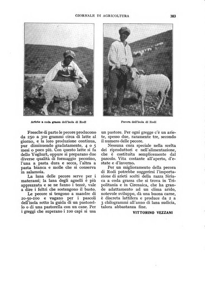 L'Italia agricola