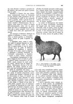 giornale/UM10003065/1930/unico/00000429