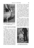 giornale/UM10003065/1930/unico/00000533