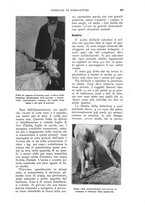 giornale/UM10003065/1930/unico/00000535