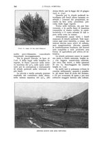 giornale/UM10003065/1930/unico/00000618