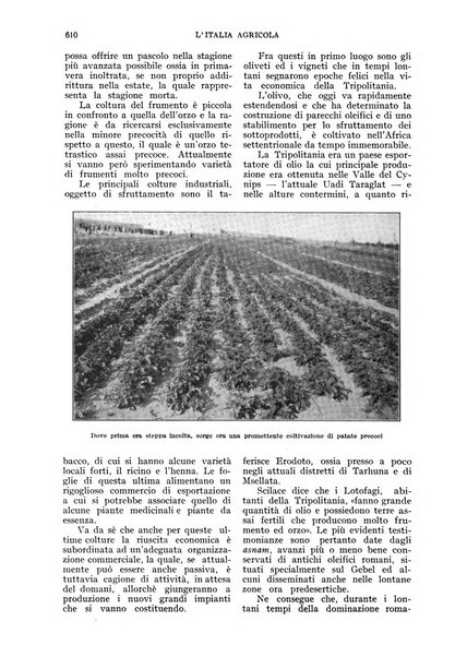 L'Italia agricola