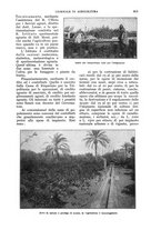 giornale/UM10003065/1930/unico/00000669