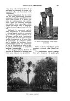 giornale/UM10003065/1930/unico/00000673