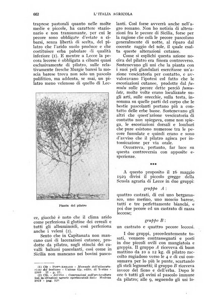 L'Italia agricola