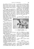 giornale/UM10003065/1930/unico/00000723