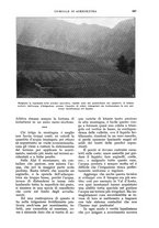 giornale/UM10003065/1930/unico/00000747