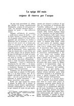 giornale/UM10003065/1930/unico/00000837