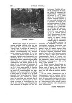 giornale/UM10003065/1930/unico/00000890