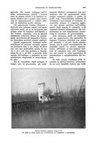 giornale/UM10003065/1930/unico/00000941