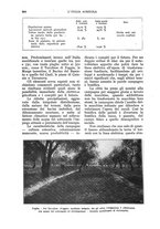 giornale/UM10003065/1930/unico/00000958