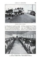 giornale/UM10003065/1930/unico/00000965