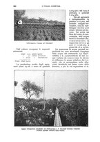 giornale/UM10003065/1930/unico/00000968