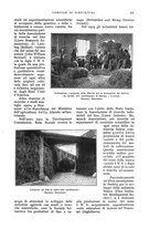giornale/UM10003065/1931/unico/00000145