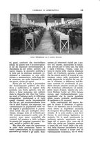 giornale/UM10003065/1931/unico/00000149