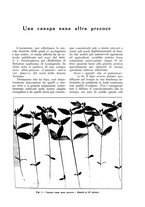 giornale/UM10003065/1932/unico/00000019