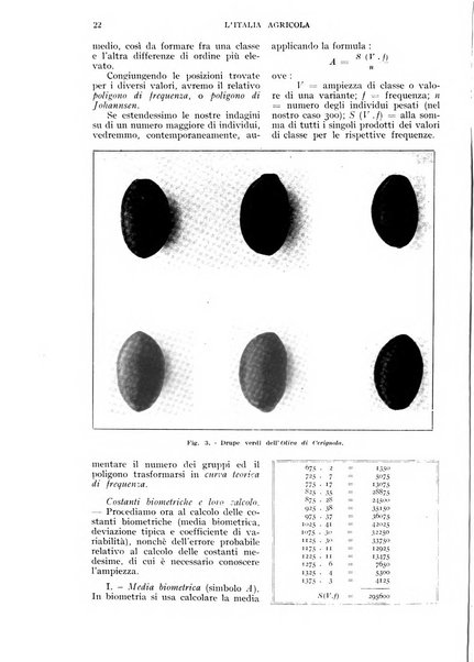 L'Italia agricola