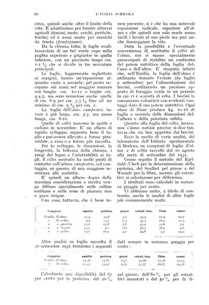 L'Italia agricola