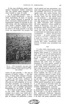 giornale/UM10003065/1932/unico/00000117