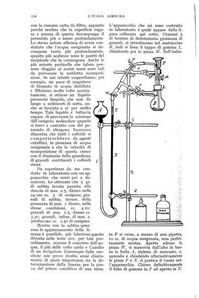 L'Italia agricola