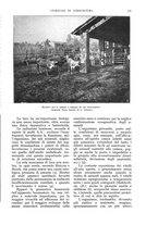 giornale/UM10003065/1932/unico/00000131