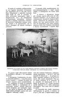 giornale/UM10003065/1932/unico/00000133