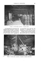 giornale/UM10003065/1932/unico/00000195