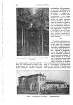 giornale/UM10003065/1932/unico/00000198