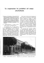 giornale/UM10003065/1932/unico/00000201