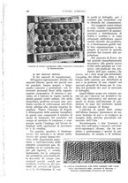 giornale/UM10003065/1932/unico/00000210