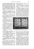 giornale/UM10003065/1932/unico/00000211