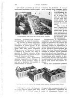 giornale/UM10003065/1932/unico/00000212